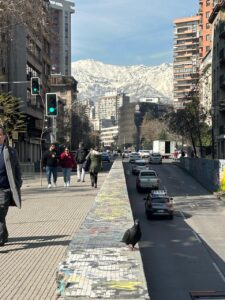 Viajem Chile 08/2024